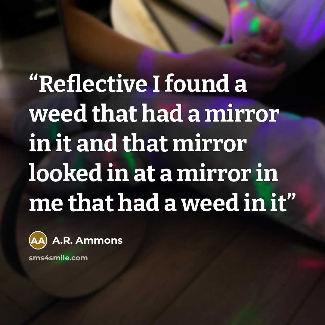 “Reflective I found a weed that had a mirror in it and that mirror looked in at a mirror in me that had a weed in it” quote by A.R. Ammons