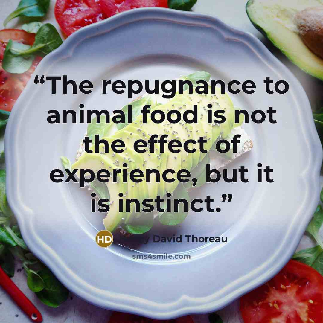 “The repugnance to animal food is not the effect of experience, but it is instinct.” quote by Henry David Thoreau