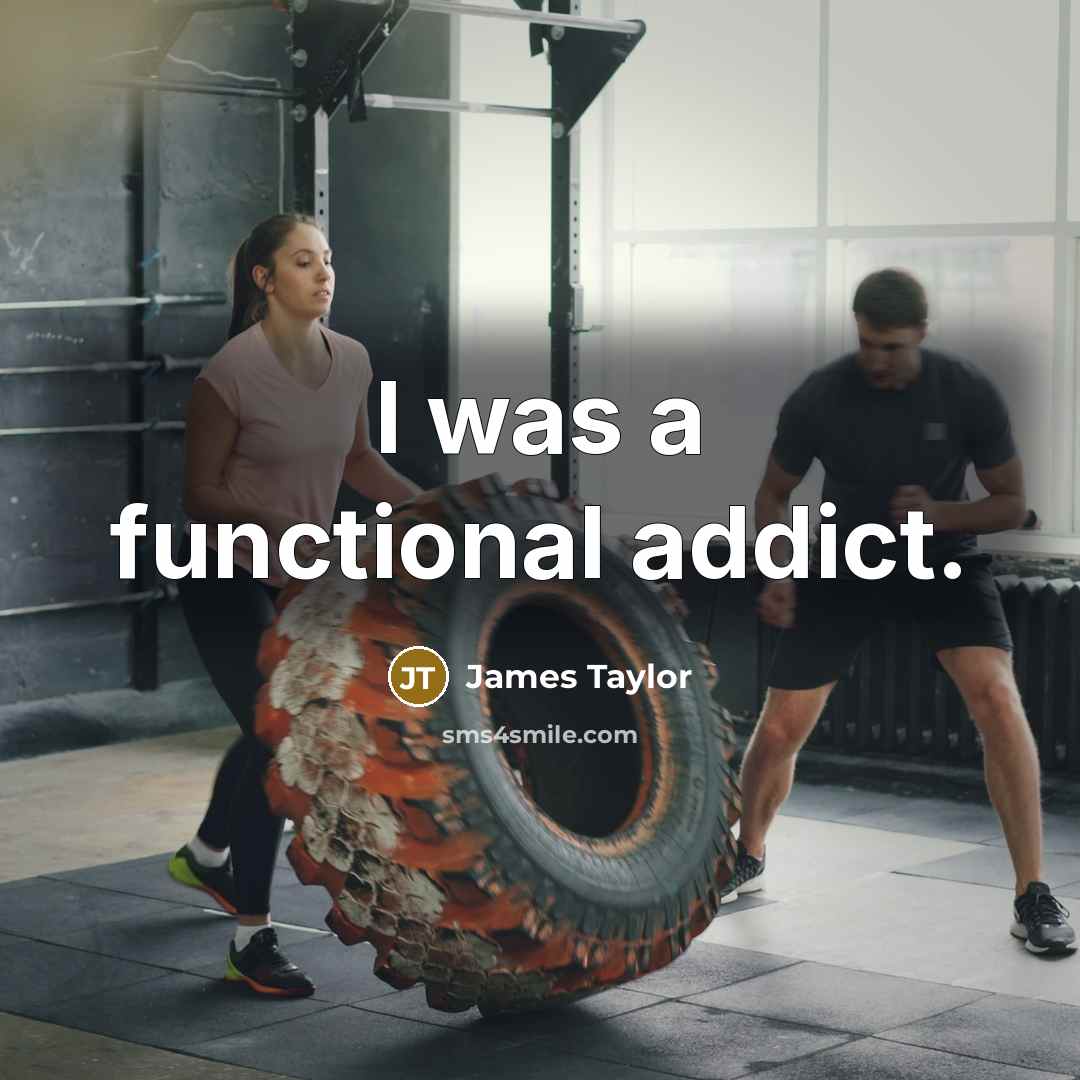 “I was a functional addict.” quote by James Taylor
