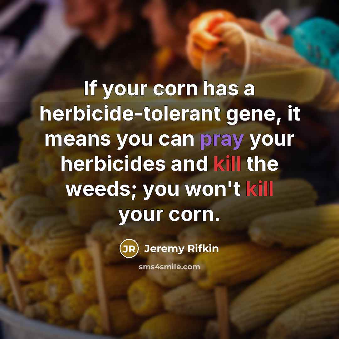 “If your corn has a herbicide-tolerant gene, it means you can pray your herbicides and kill the weeds; you won't kill your corn.” quote by Jeremy Rifkin