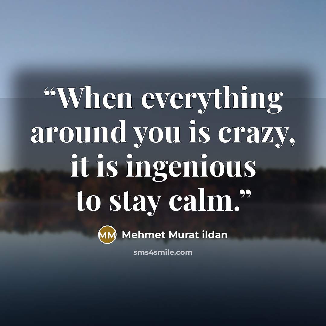 “When everything around you is crazy, it is ingenious to stay calm.” quote by Mehmet Murat ildan