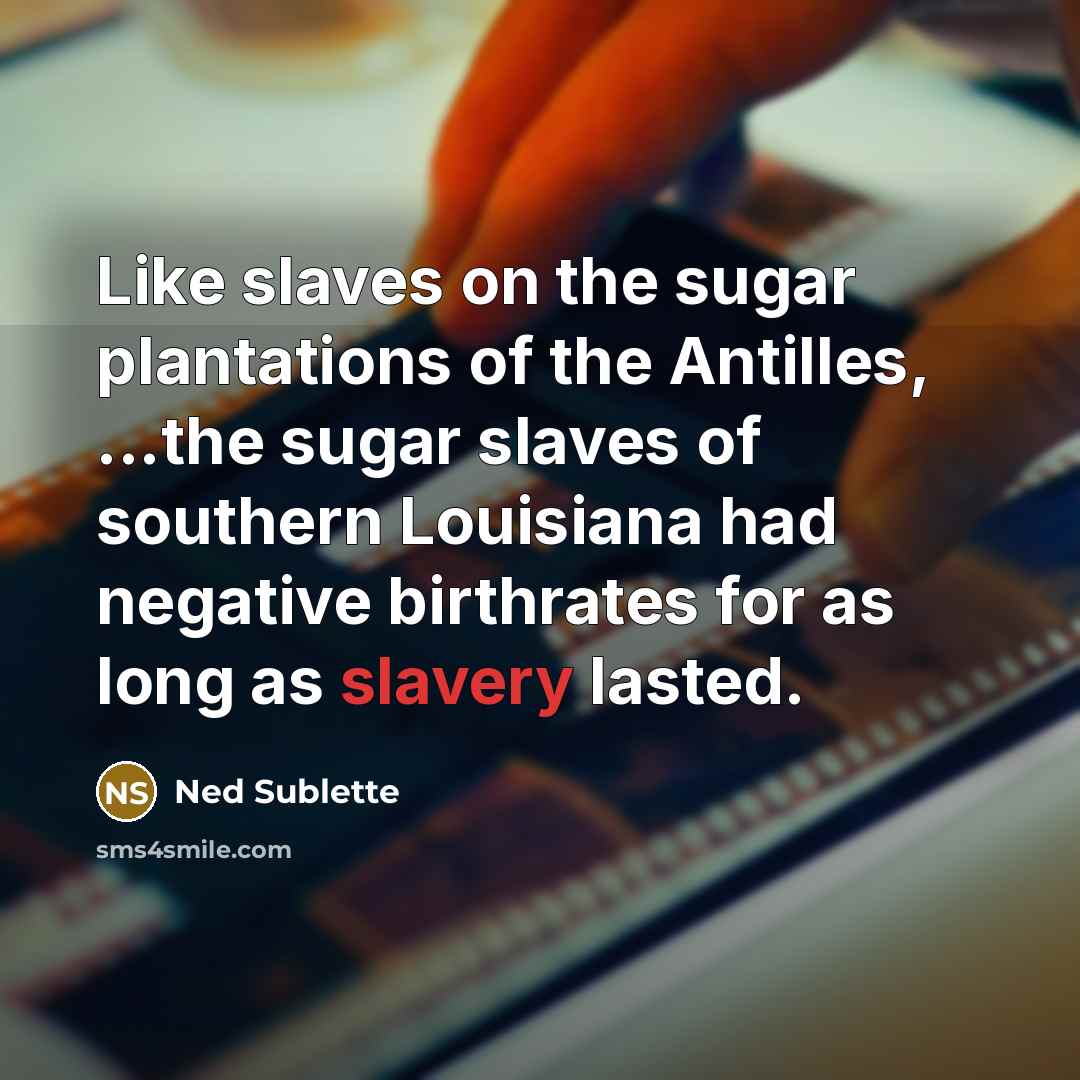 “Like slaves on the sugar plantations of the Antilles, ...the sugar slaves of southern Louisiana had negative birthrates for as long as slavery lasted.” quote by Ned Sublette