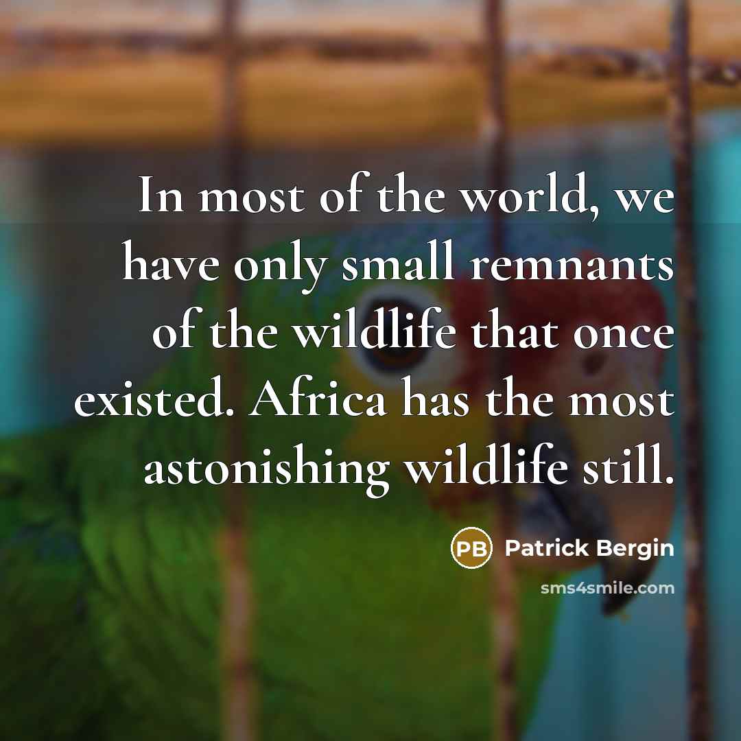 “In most of the world, we have only small remnants of the wildlife that once existed. Africa has the most astonishing wildlife still.” quote by Patrick Bergin