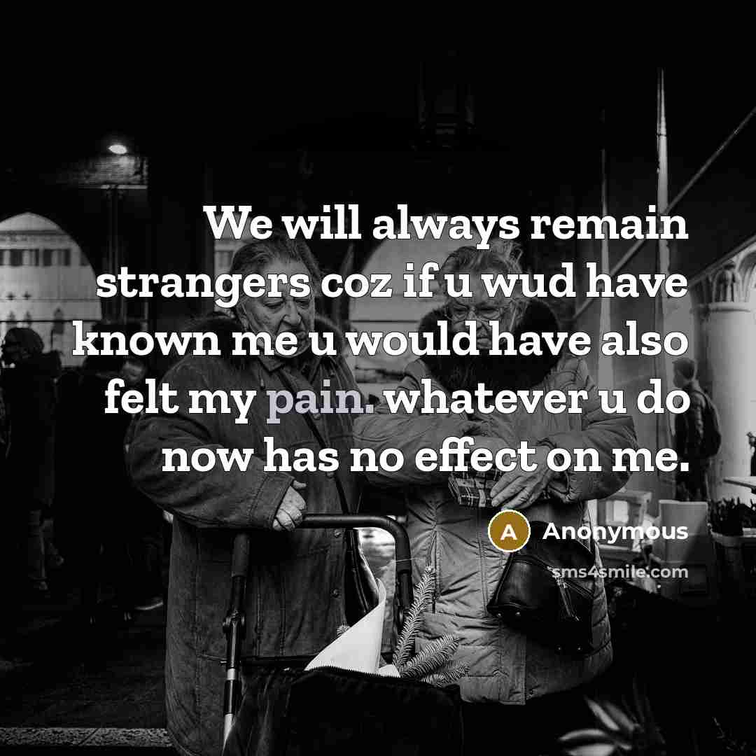 “We will always remain strangers coz if u wud have known me u would have also felt my pain. whatever u do now has no effect on me.” quote by Anonymous