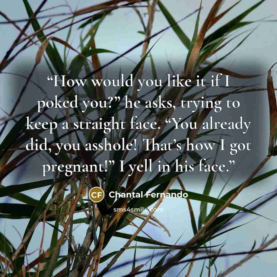 “How would you like it if I poked you?” he asks, trying to keep a straight face. “You already did, you asshole! That’s how I got pregnant!” I yell in his face.” quote by Chantal Fernando