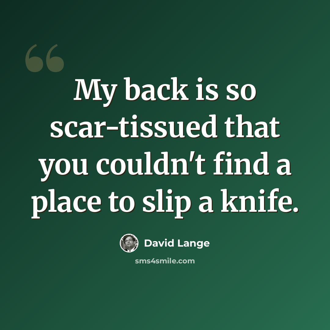 “My back is so scar-tissued that you couldn't find a place to slip a knife.” quote by David Lange