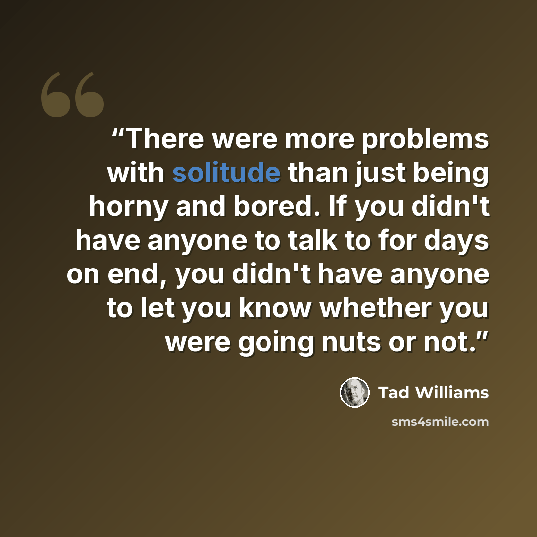 “There were more problems with solitude than just being horny and bored. If you didn't have anyone to talk to for days on end, you didn't have anyone to let you know whether you were going nuts or not.” quote by Tad Williams