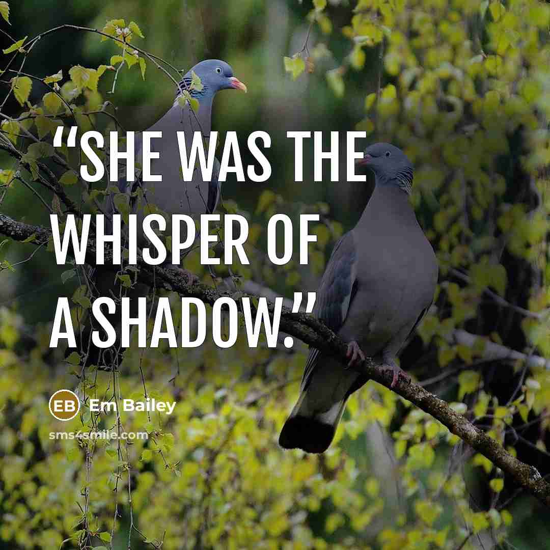 “She was the whisper of a shadow.” quote by Em Bailey