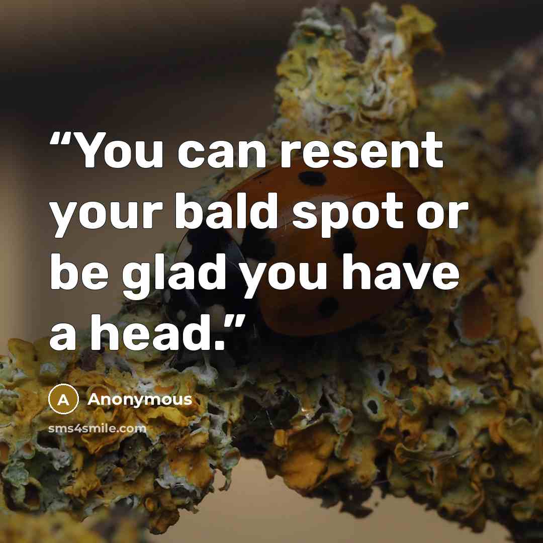“You can resent your bald spot or be glad you have a head.” quote by Anonymous