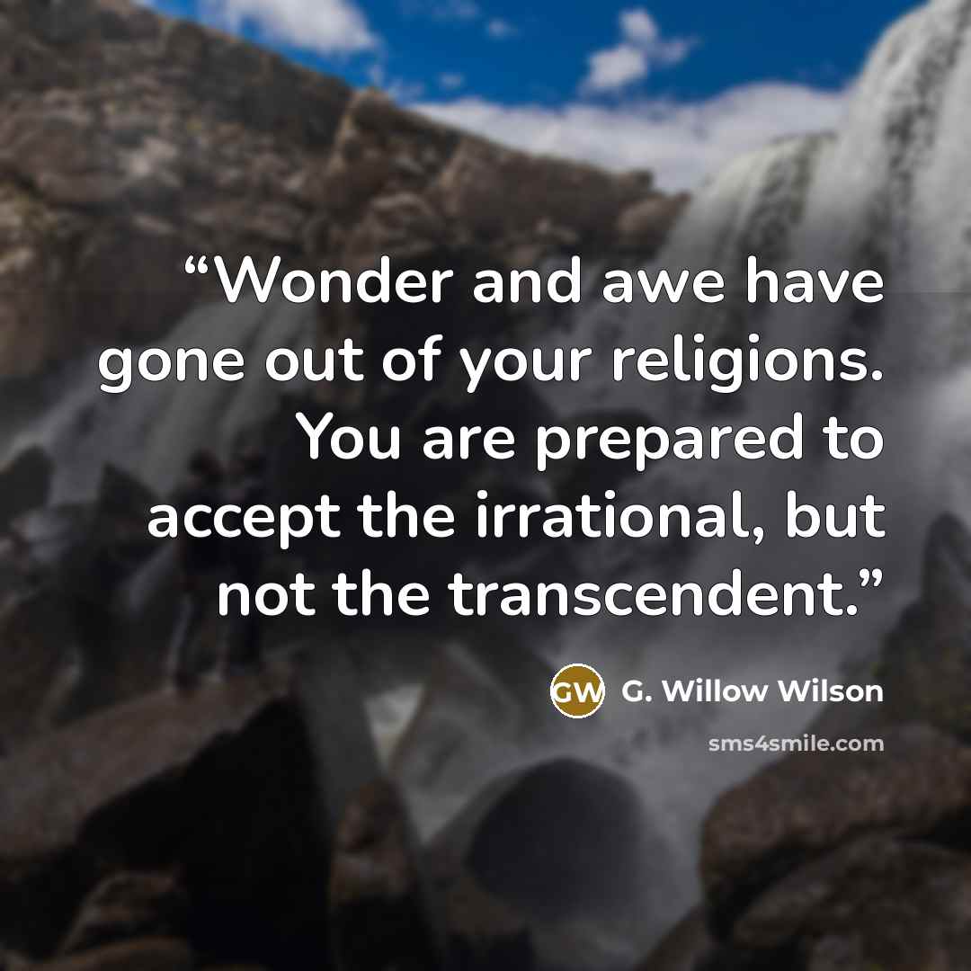 “Wonder and awe have gone out of your religions. You are prepared to accept the irrational, but not the transcendent.” quote by G. Willow Wilson