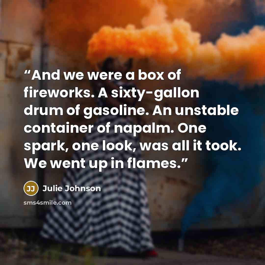 “And we were a box of fireworks. A sixty-gallon drum of gasoline. An unstable container of napalm. One spark, one look, was all it took. We went up in flames.” quote by Julie Johnson