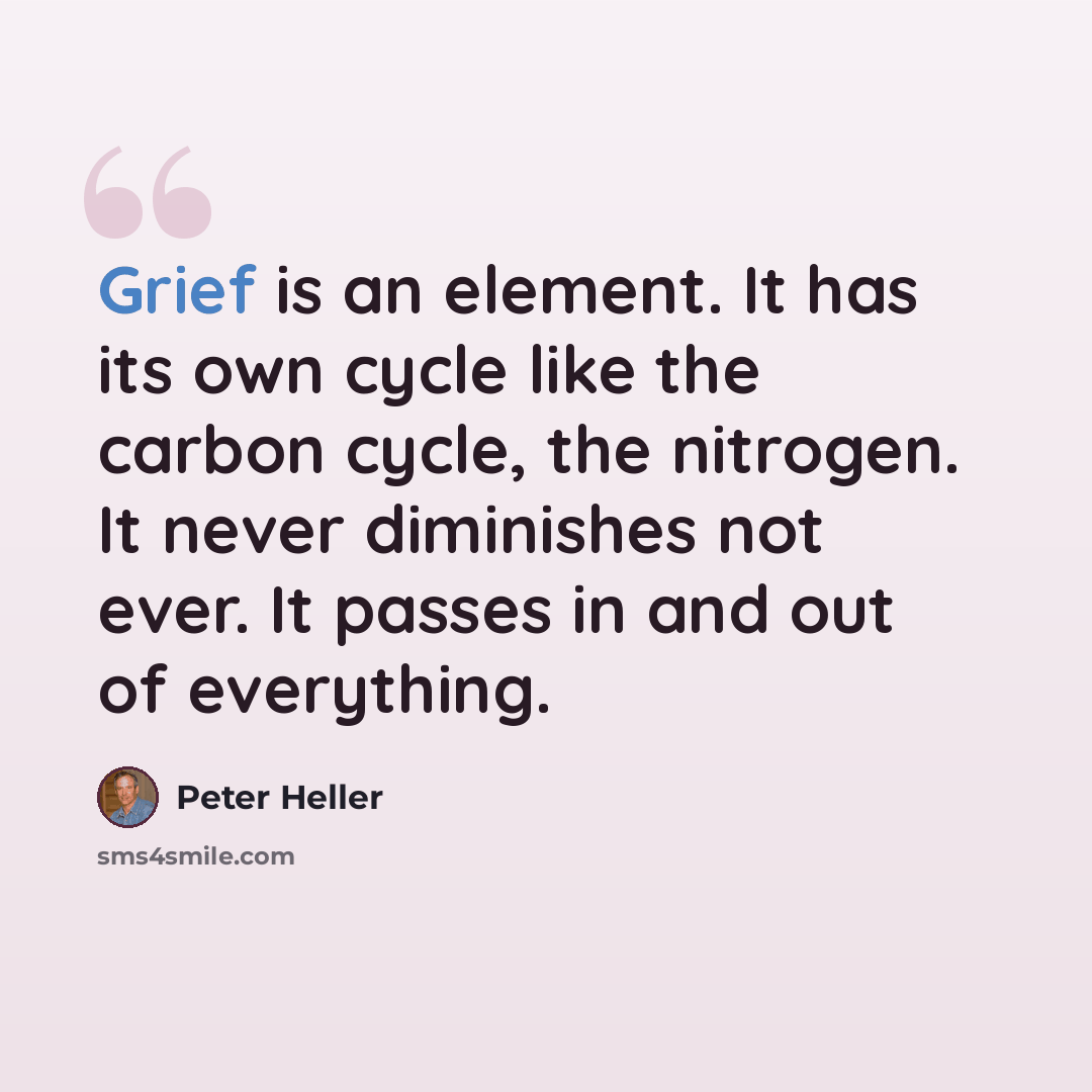 “Grief is an element. It has its own cycle like the carbon cycle, the nitrogen. It never diminishes not ever. It passes in and out of everything.” quote by Peter Heller
