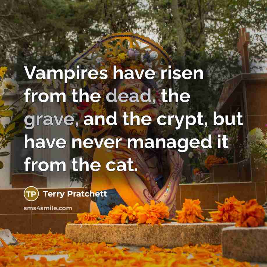 “Vampires have risen from the dead, the grave, and the crypt, but have never managed it from the cat.” quote by Terry Pratchett