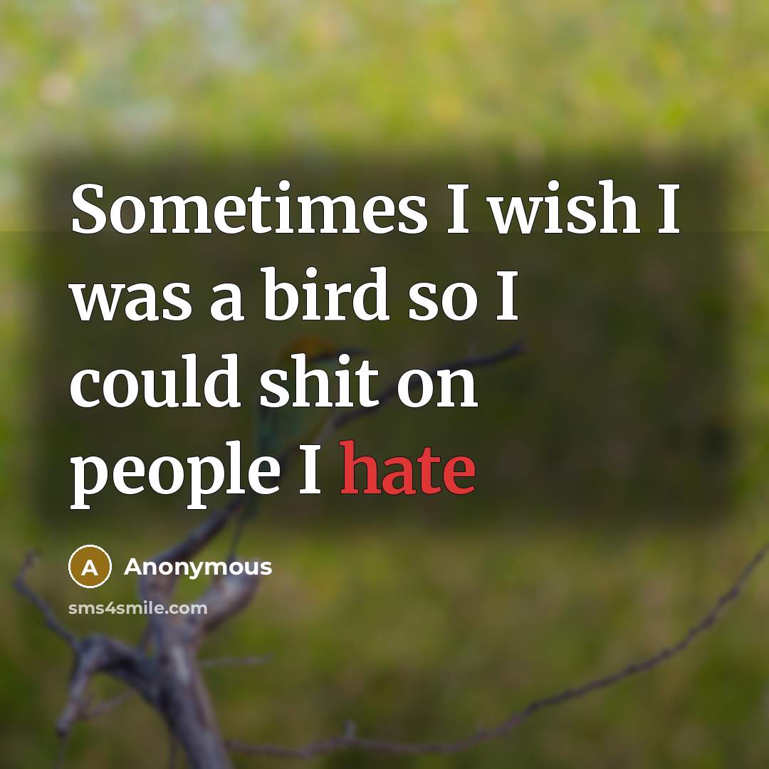 “Sometimes I wish I was a bird so I could shit on people I hate” quote by Anonymous