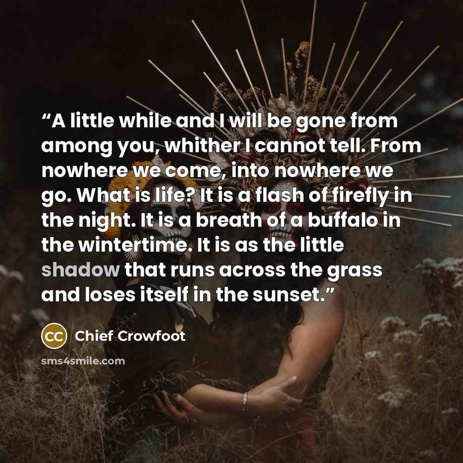 “A little while and I will be gone from among you, whither I cannot tell. From nowhere we come, into nowhere we go. What is life? It is a flash of firefly in the night. It is a breath of a buffalo in the wintertime. It is as the little shadow that runs across the grass and loses itself in the sunset.” quote by Chief Crowfoot