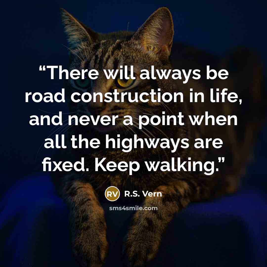 “There will always be road construction in life, and never a point when all the highways are fixed. Keep walking.” quote by R.S. Vern