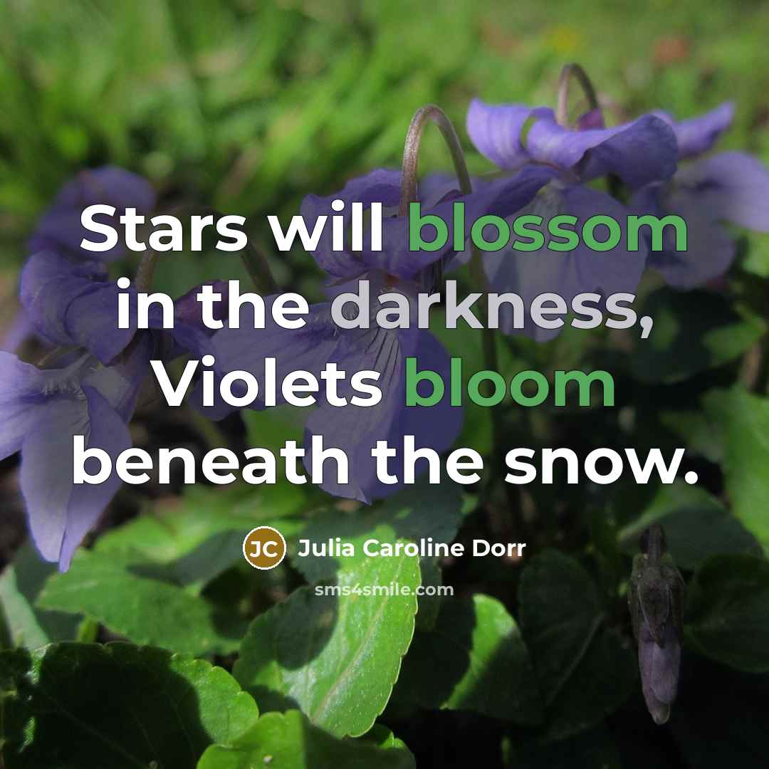 “Stars will blossom in the darkness, Violets bloom beneath the snow.” quote by Julia Caroline Dorr