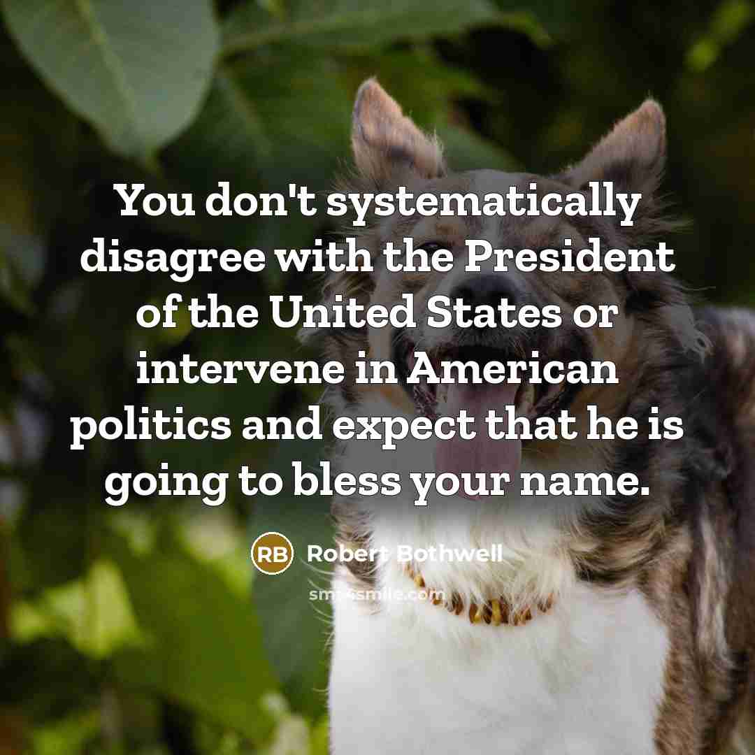 “You don't systematically disagree with the President of the United States or intervene in American politics and expect that he is going to bless your name.” quote by Robert Bothwell