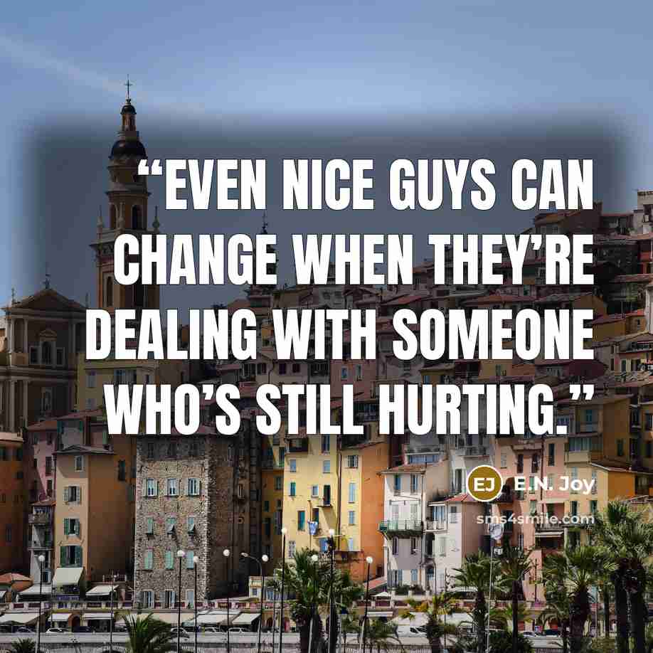 “even nice guys can change when they’re dealing with someone who’s still hurting.” quote by E.N. Joy