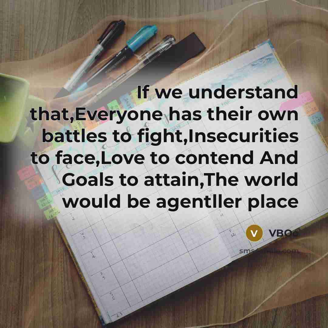 “If we understand that,Everyone has their own battles to fight,Insecurities to face,Love to contend And Goals to attain,The world would be agentller place” quote by VBOo