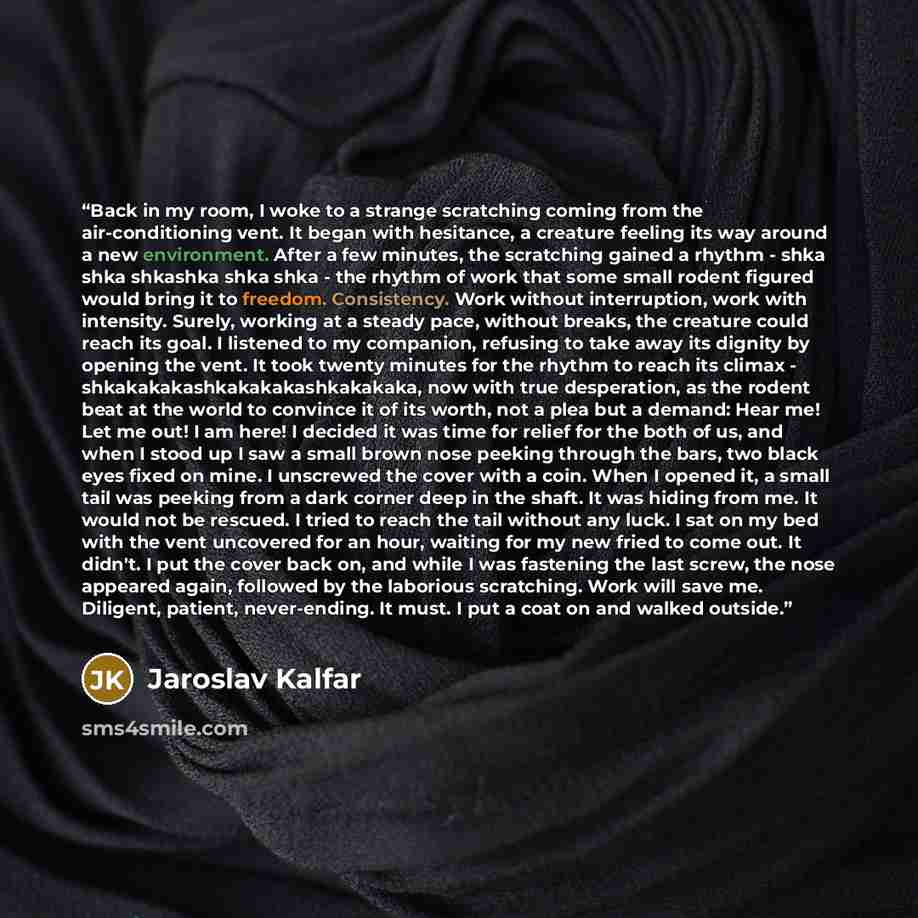 “Back in my room, I woke to a strange scratching coming from the air-conditioning vent. It began with hesitance, a creature feeling its way around a new environment. After a few minutes, the scratching gained a rhythm - shka shka shkashka shka shka - the rhythm of work that some small rodent…” quote by Jaroslav Kalfar