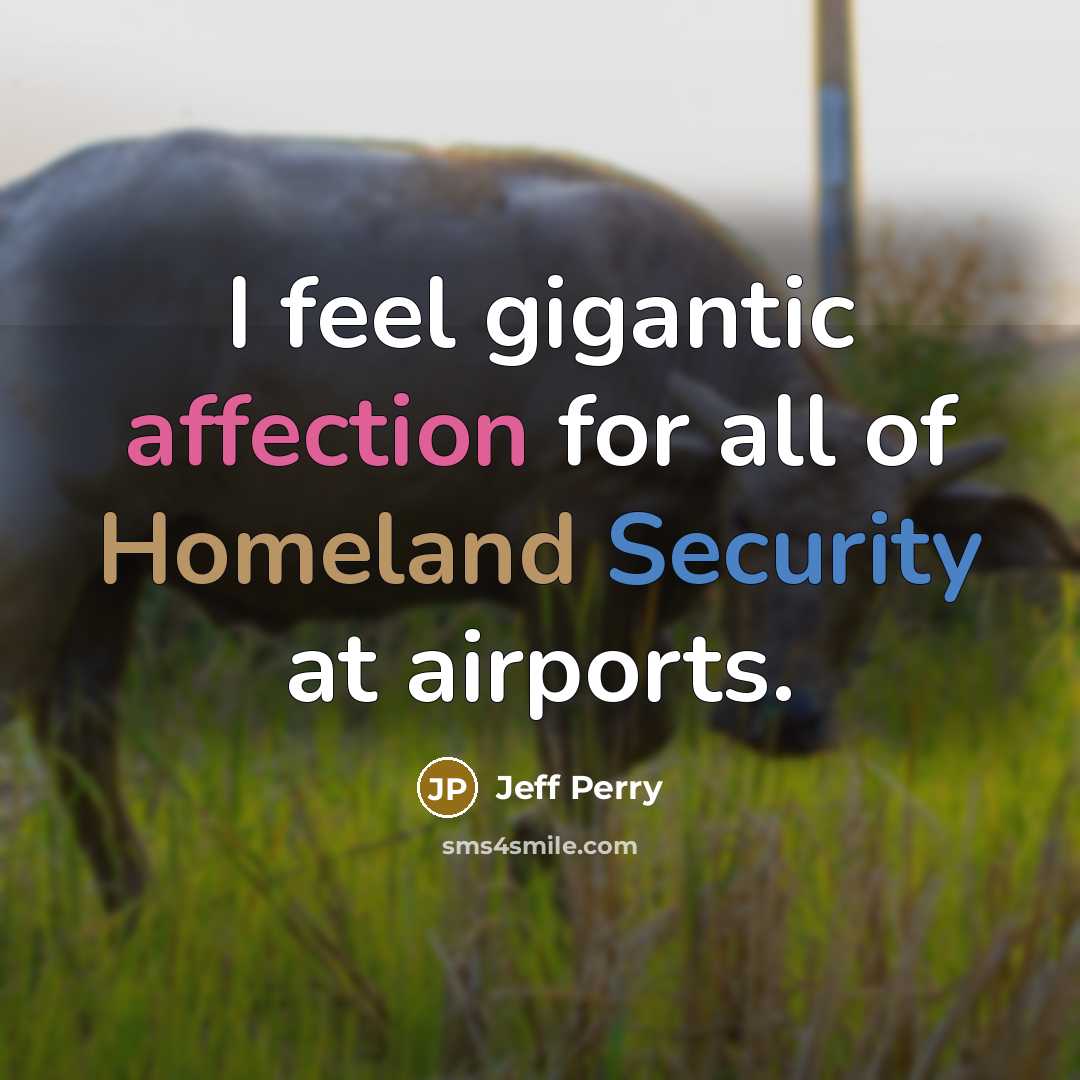 “I feel gigantic affection for all of Homeland Security at airports.” quote by Jeff Perry