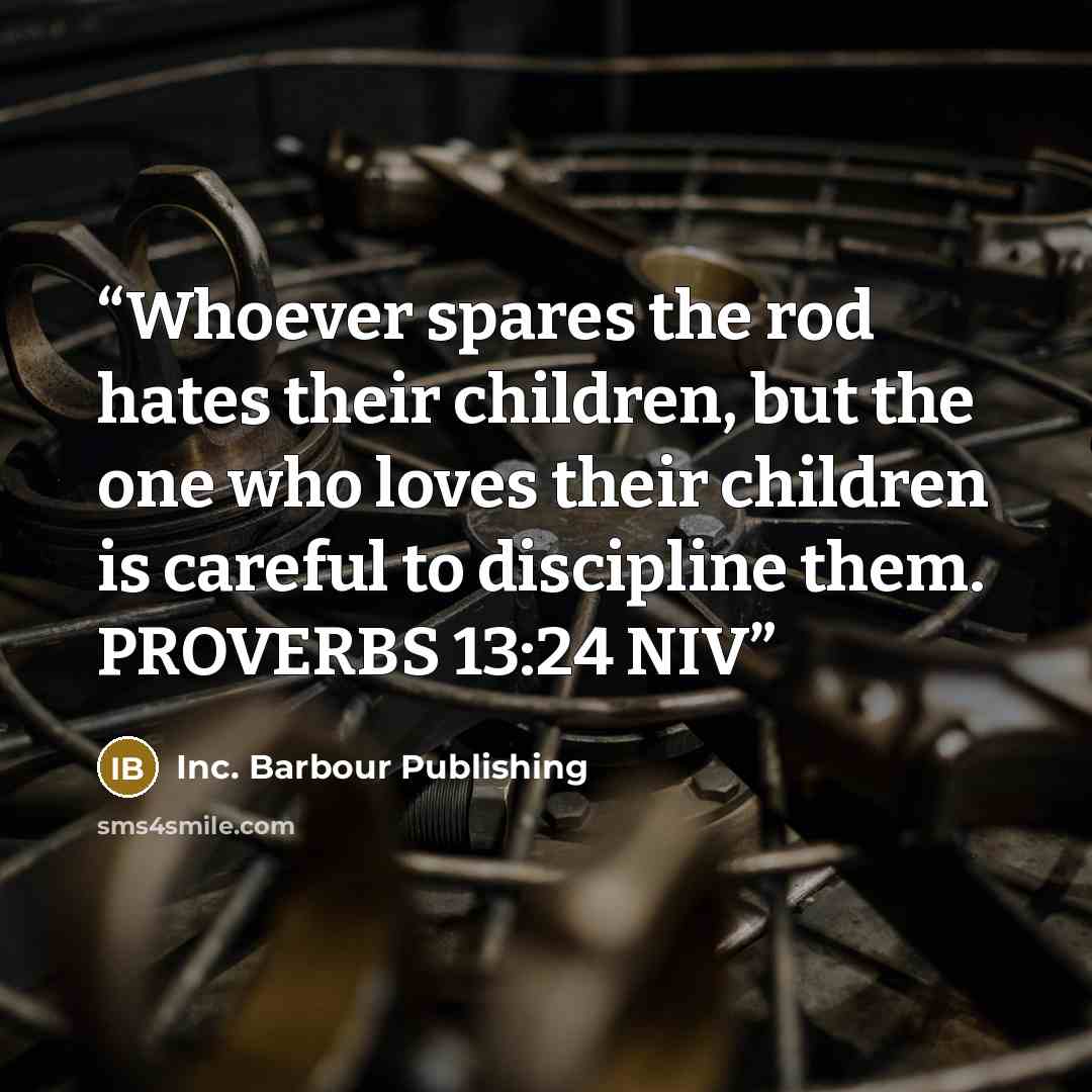 “Whoever spares the rod hates their children, but the one who loves their children is careful to discipline them. PROVERBS 13:24 NIV” quote by Inc. Barbour Publishing