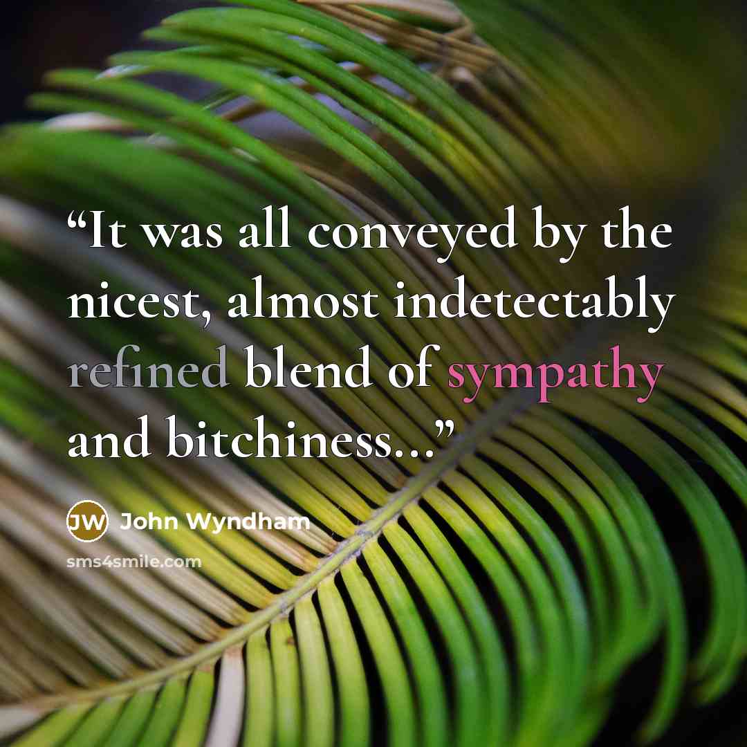 “It was all conveyed by the nicest, almost indetectably refined blend of sympathy and bitchiness...” quote by John Wyndham