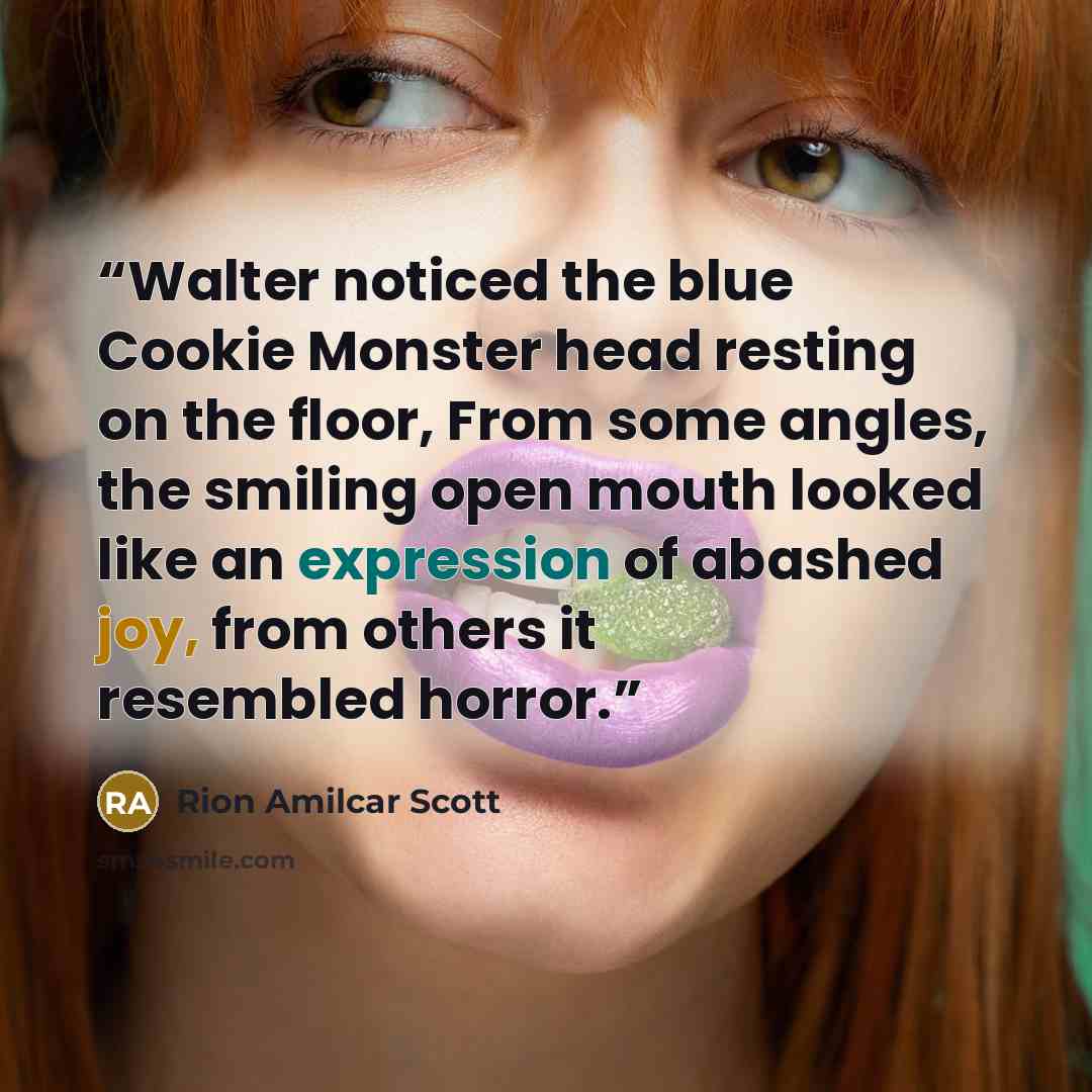 “Walter noticed the blue Cookie Monster head resting on the floor, From some angles, the smiling open mouth looked like an expression of abashed joy, from others it resembled horror.” quote by Rion Amilcar Scott
