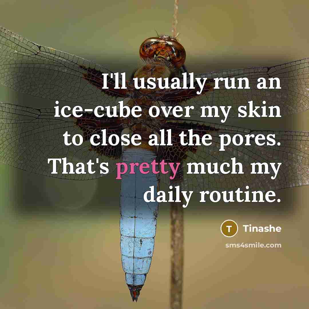 “I'll usually run an ice-cube over my skin to close all the pores. That's pretty much my daily routine.” quote by Tinashe