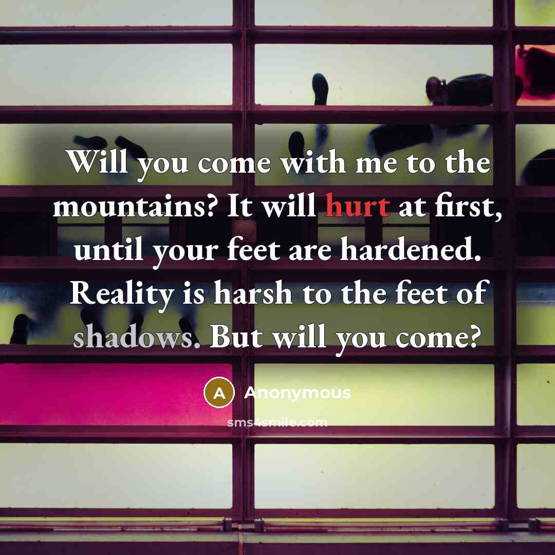 “Will you come with me to the mountains? It will hurt at first, until your feet are hardened. Reality is harsh to the feet of shadows. But will you come?” quote by Anonymous
