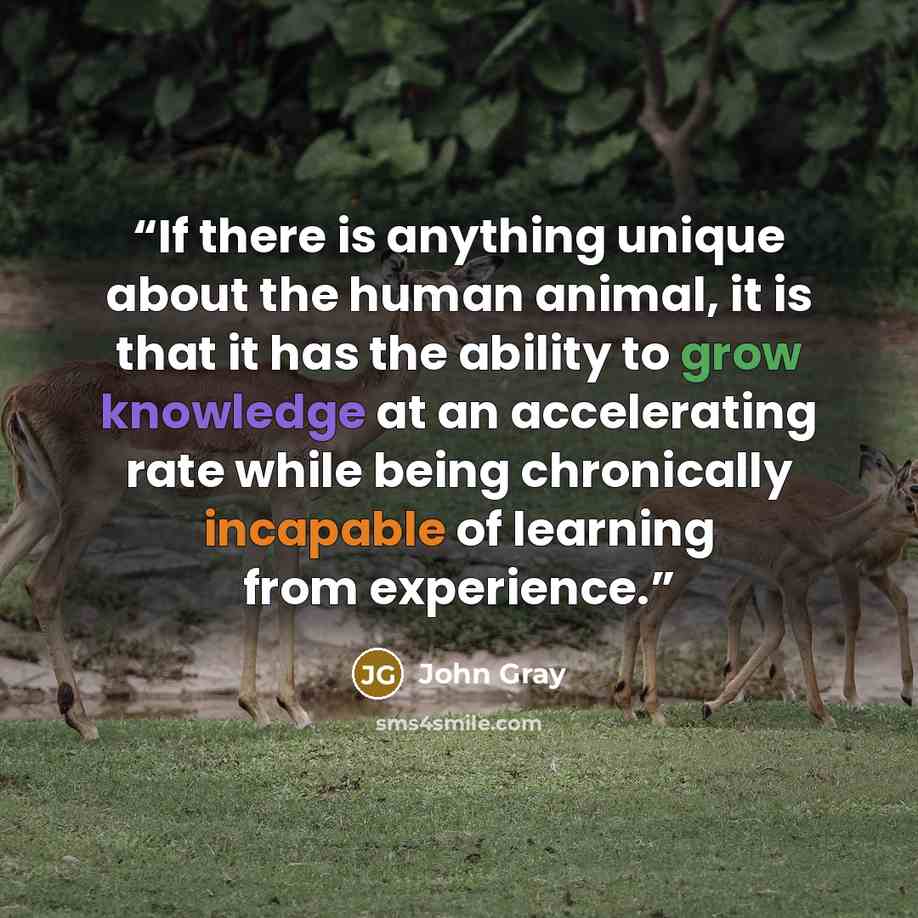 “If there is anything unique about the human animal, it is that it has the ability to grow knowledge at an accelerating rate while being chronically incapable of learning from experience.” quote by John Gray