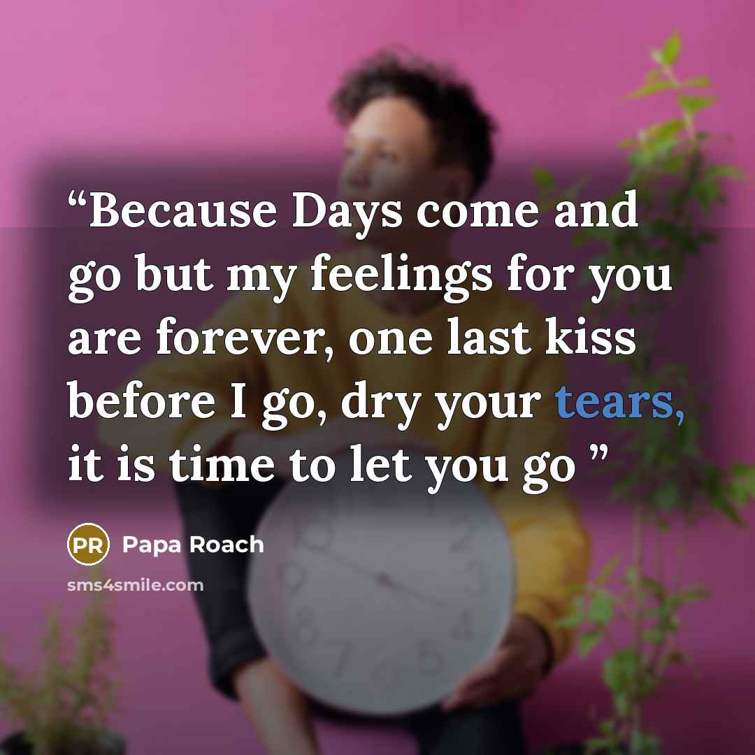 “Because Days come and go but my feelings for you are forever, one last kiss before I go, dry your tears, it is time to let you go” quote by Papa Roach