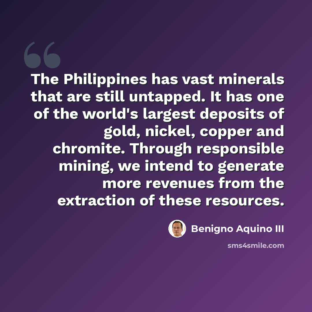 “The Philippines has vast minerals that are still untapped. It has one of the world's largest deposits of gold, nickel, copper and chromite. Through responsible mining, we intend to generate more revenues from the extraction of these resources.” quote by Benigno Aquino III