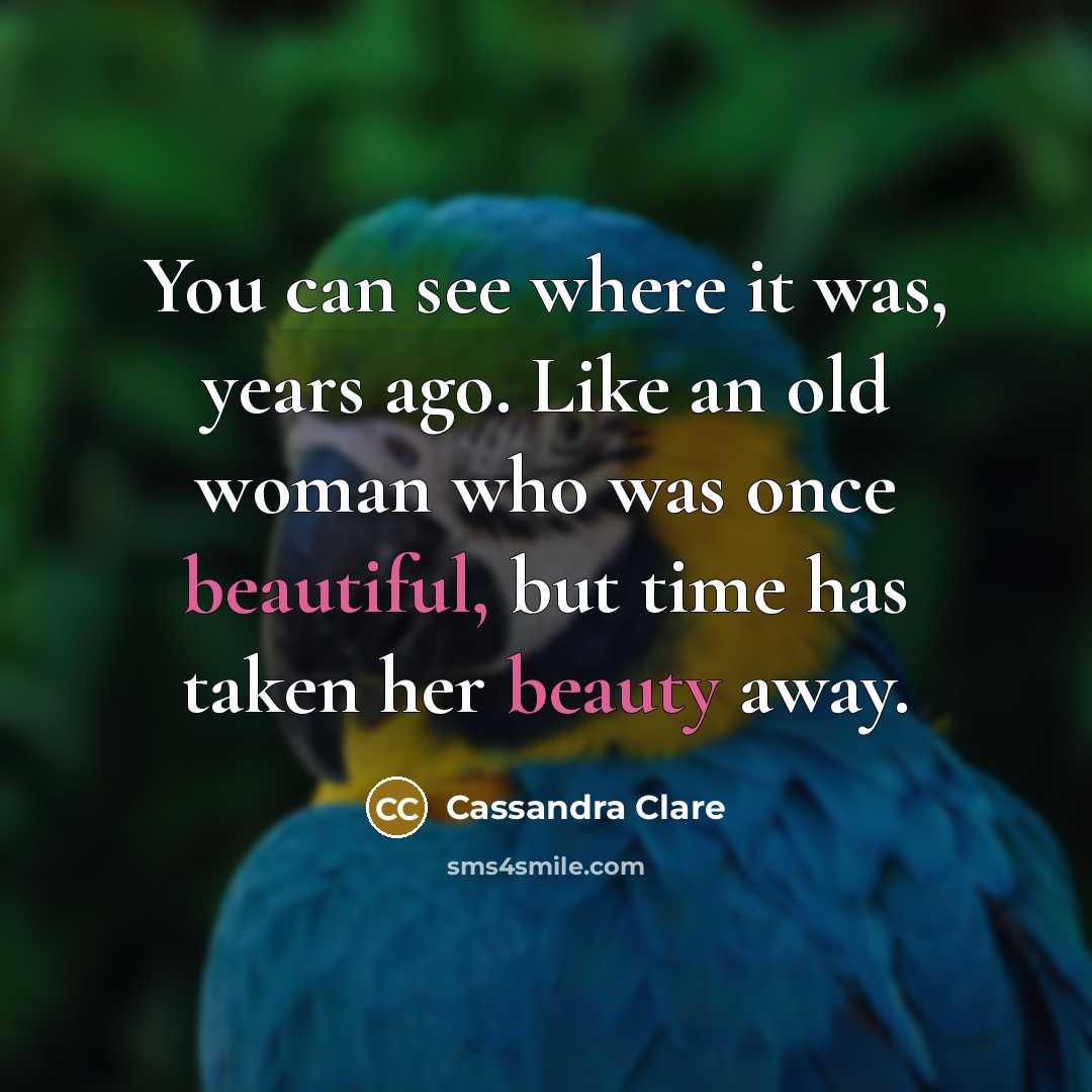 “You can see where it was, years ago. Like an old woman who was once beautiful, but time has taken her beauty away.” quote by Cassandra Clare