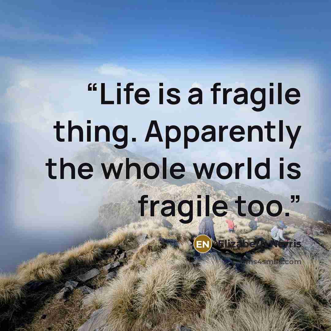 “Life is a fragile thing. Apparently the whole world is fragile too.” quote by Elizabeth Norris