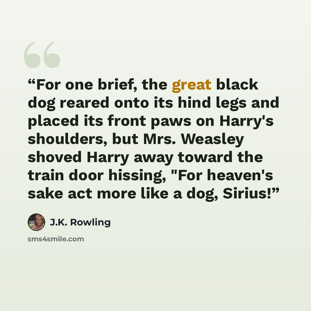 “For one brief, the great black dog reared onto its hind legs and placed its front paws on Harry's shoulders, but Mrs. Weasley shoved Harry away toward the train door hissing, "For heaven's sake act more like a dog, Sirius!” quote by J.K. Rowling