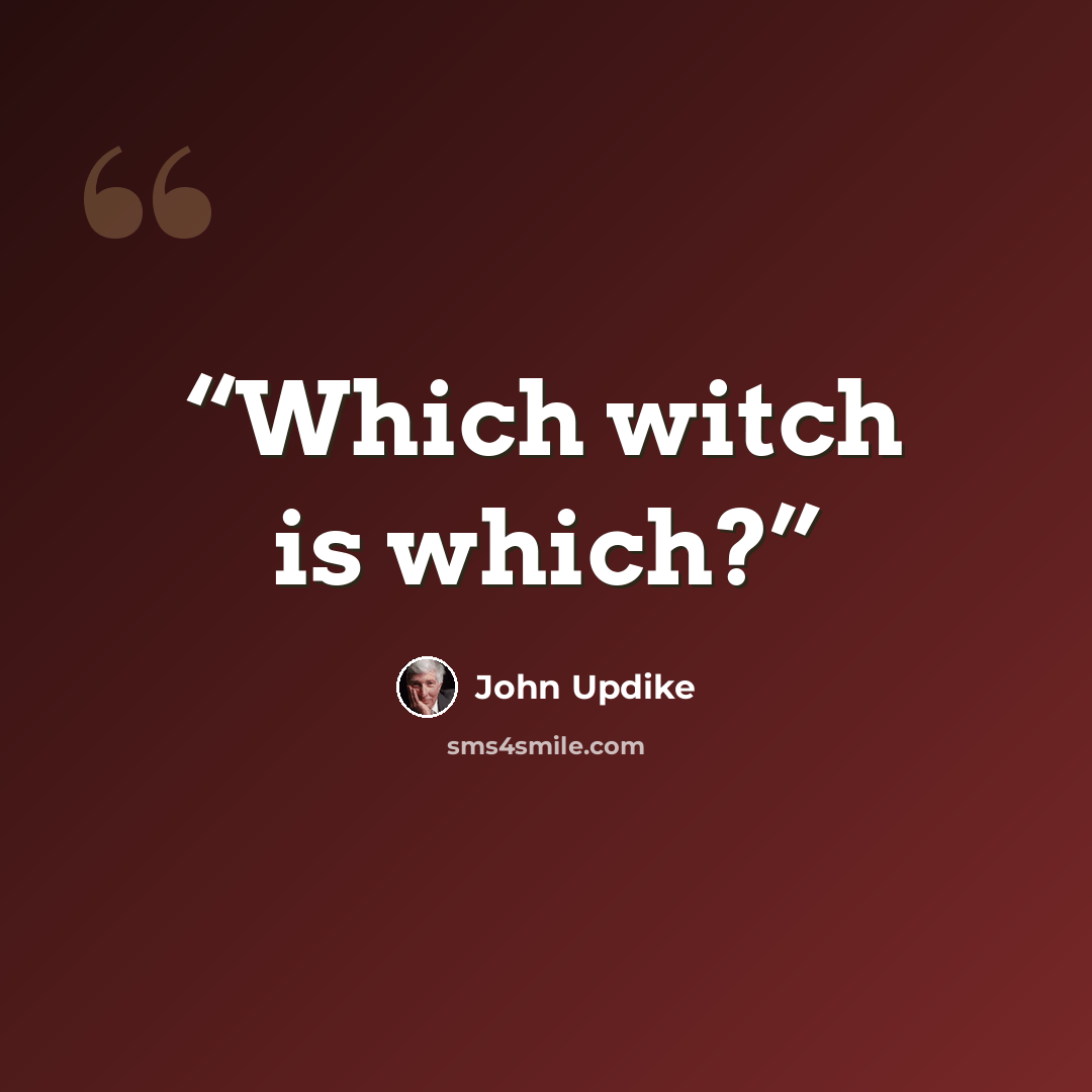 “Which witch is which?” quote by John Updike