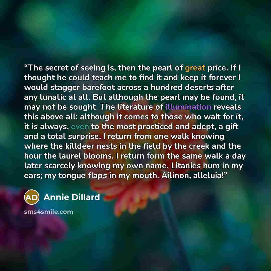 “The secret of seeing is, then the pearl of great price. If I thought he could teach me to find it and keep it forever I would stagger barefoot across a hundred deserts after any lunatic at all. But although the pearl may be found, it may not be sought. The literature of illumination reveals this…” quote by Annie Dillard