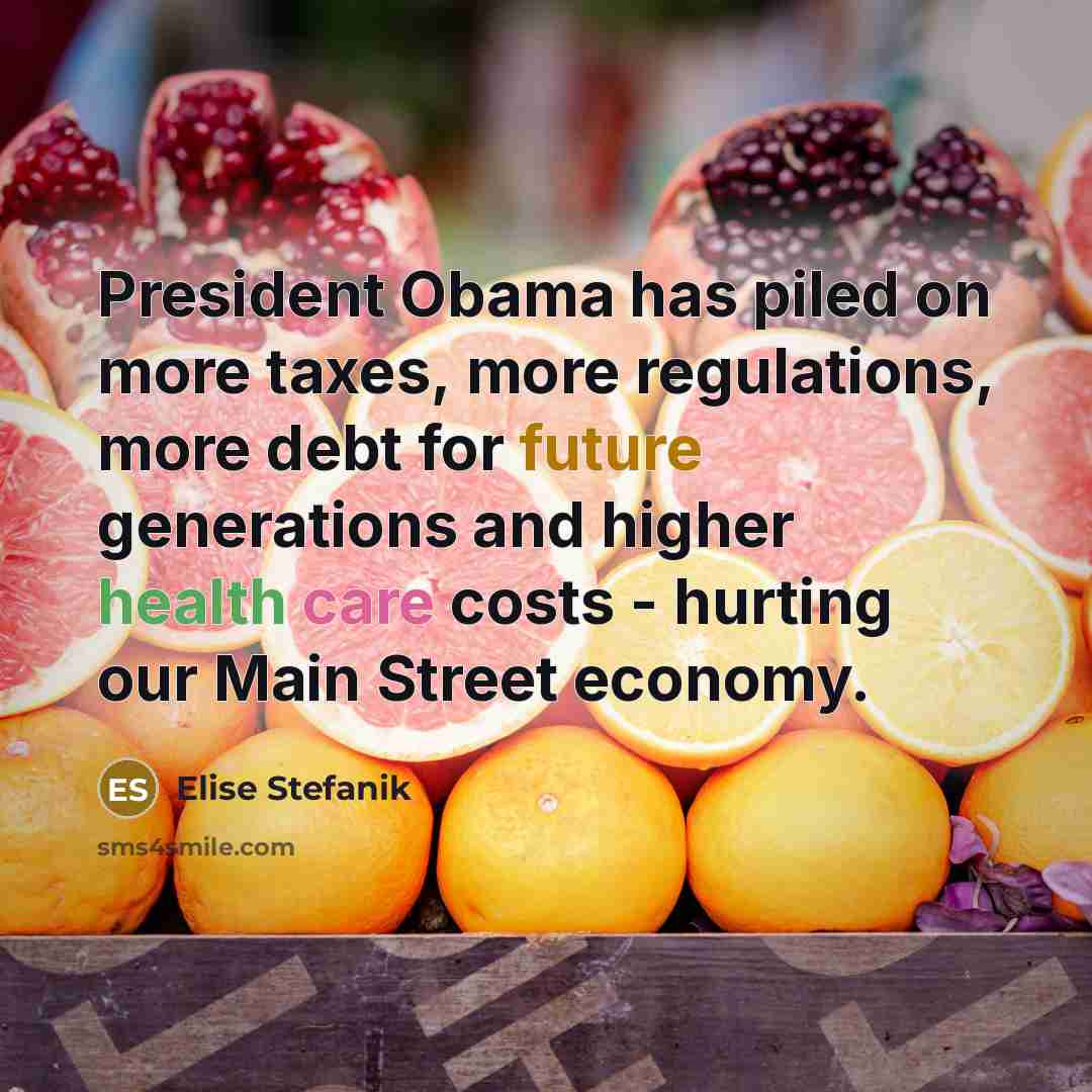 “President Obama has piled on more taxes, more regulations, more debt for future generations and higher health care costs - hurting our Main Street economy.” quote by Elise Stefanik