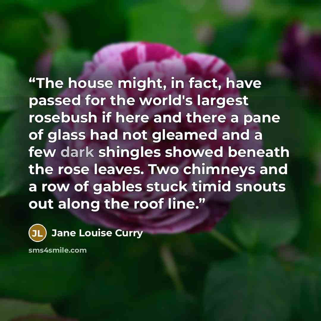“The house might, in fact, have passed for the world's largest rosebush if here and there a pane of glass had not gleamed and a few dark shingles showed beneath the rose leaves. Two chimneys and a row of gables stuck timid snouts out along the roof line.” quote by Jane Louise Curry
