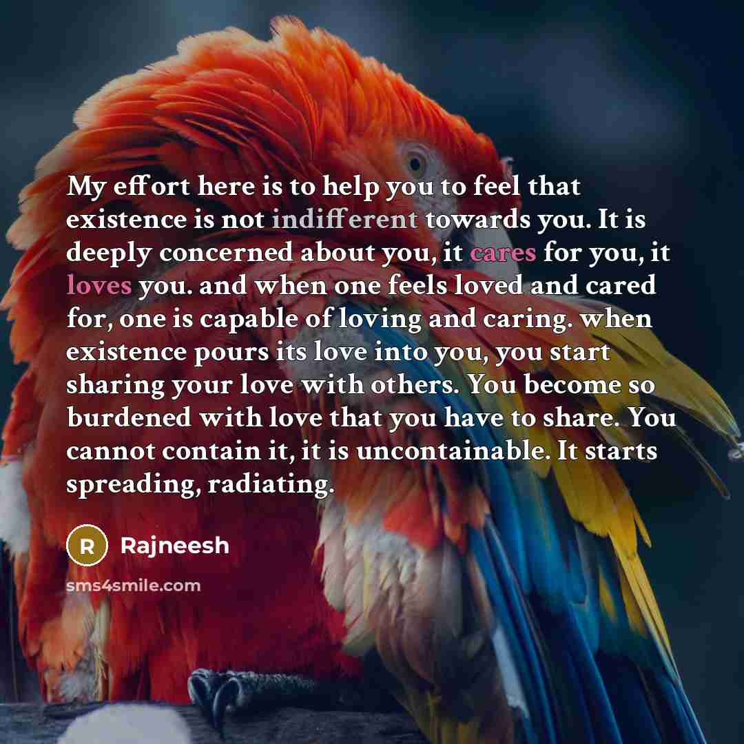 “My effort here is to help you to feel that existence is not indifferent towards you. It is deeply concerned about you, it cares for you, it loves you. and when one feels loved and cared for, one is capable of loving and caring. when existence pours its love into you, you start sharing your love…” quote by Rajneesh