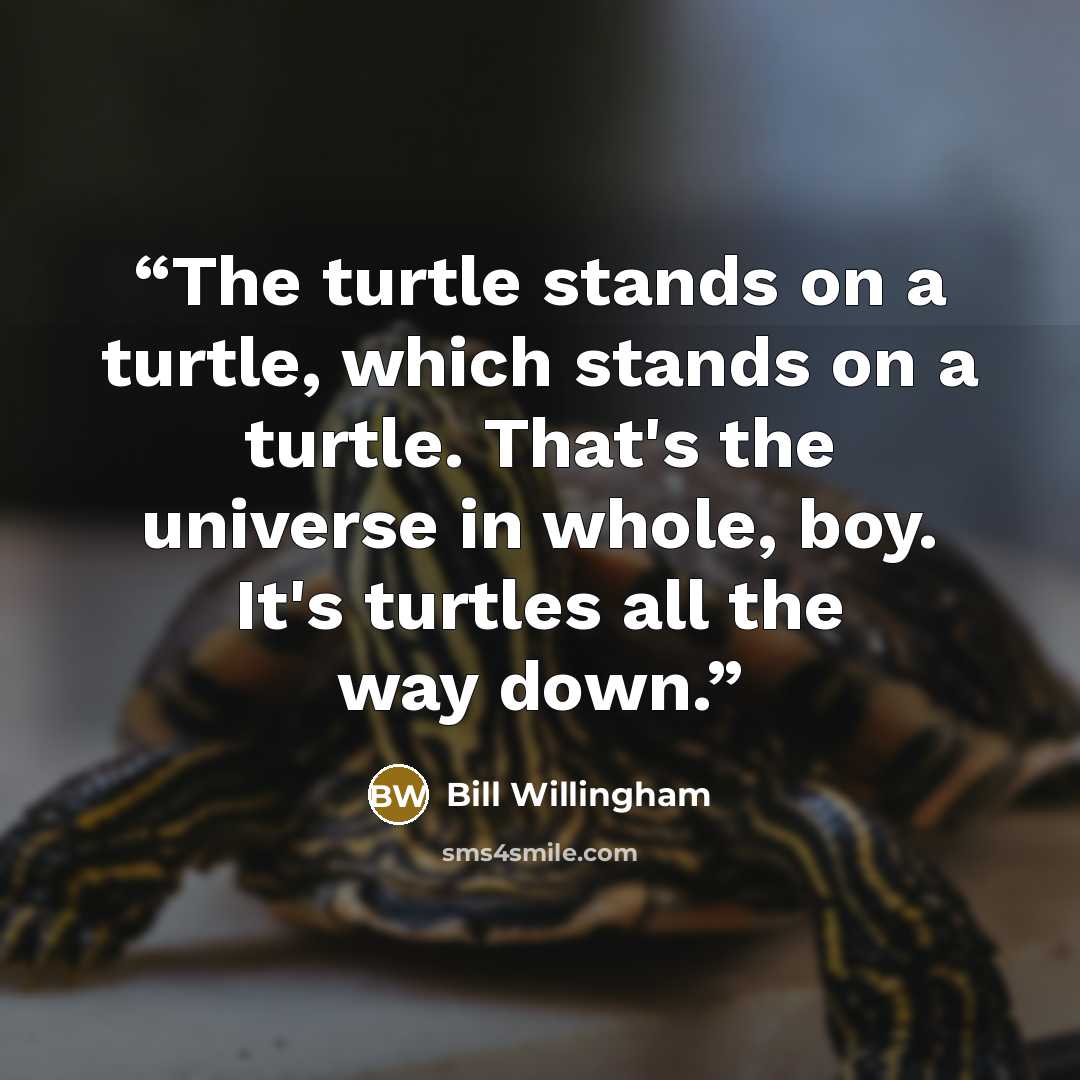 “The turtle stands on a turtle, which stands on a turtle. That's the universe in whole, boy. It's turtles all the way down.” quote by Bill Willingham