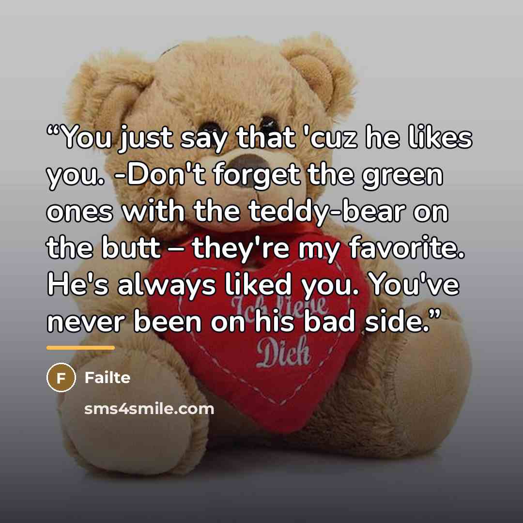 “You just say that 'cuz he likes you. -Don't forget the green ones with the teddy-bear on the butt – they're my favorite. He's always liked you. You've never been on his bad side.” quote by Failte
