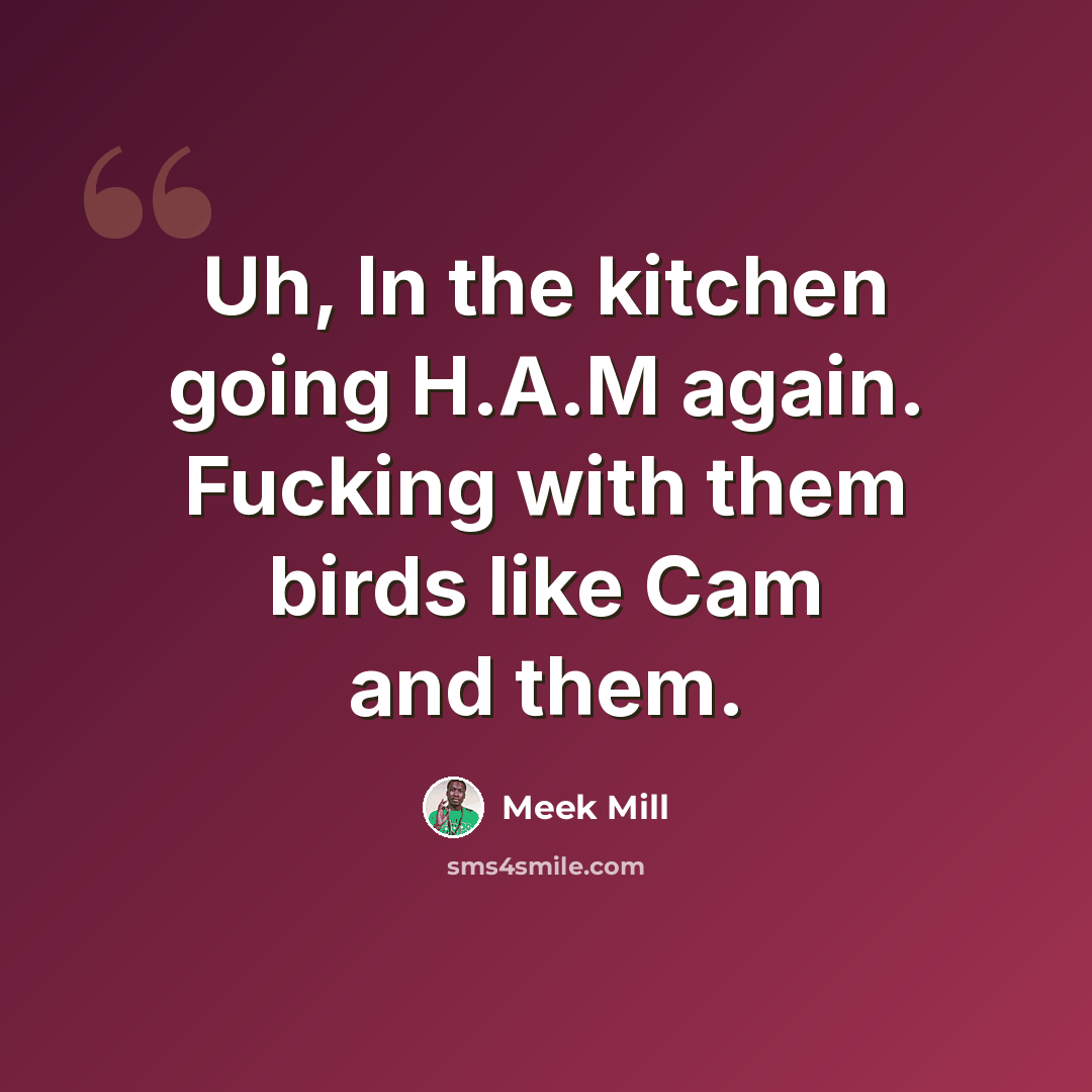 “Uh, In the kitchen going H.A.M again. Fucking with them birds like Cam and them.” quote by Meek Mill