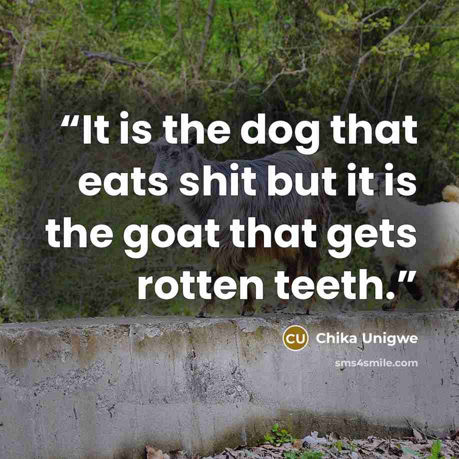 “It is the dog that eats shit but it is the goat that gets rotten teeth.” quote by Chika Unigwe