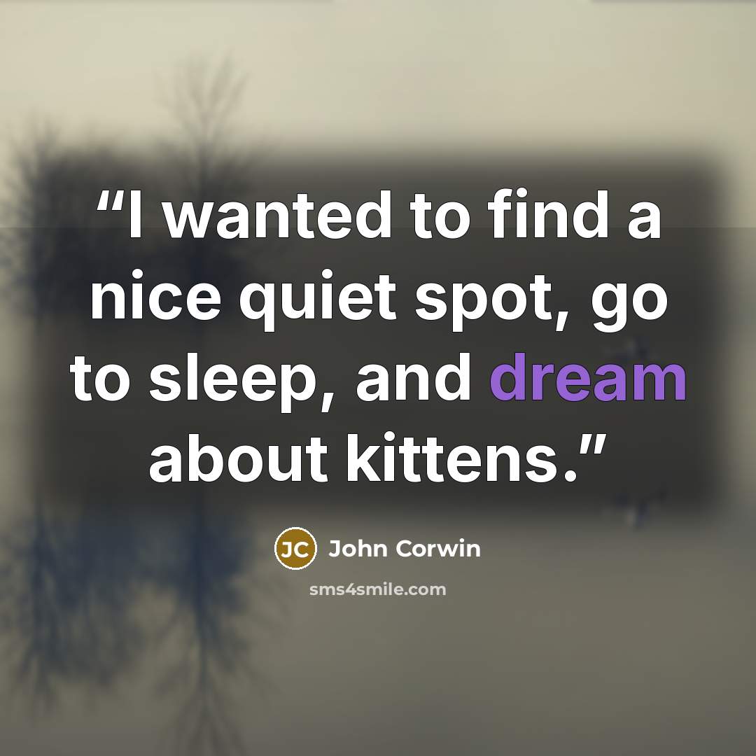 “I wanted to find a nice quiet spot, go to sleep, and dream about kittens.” quote by John Corwin