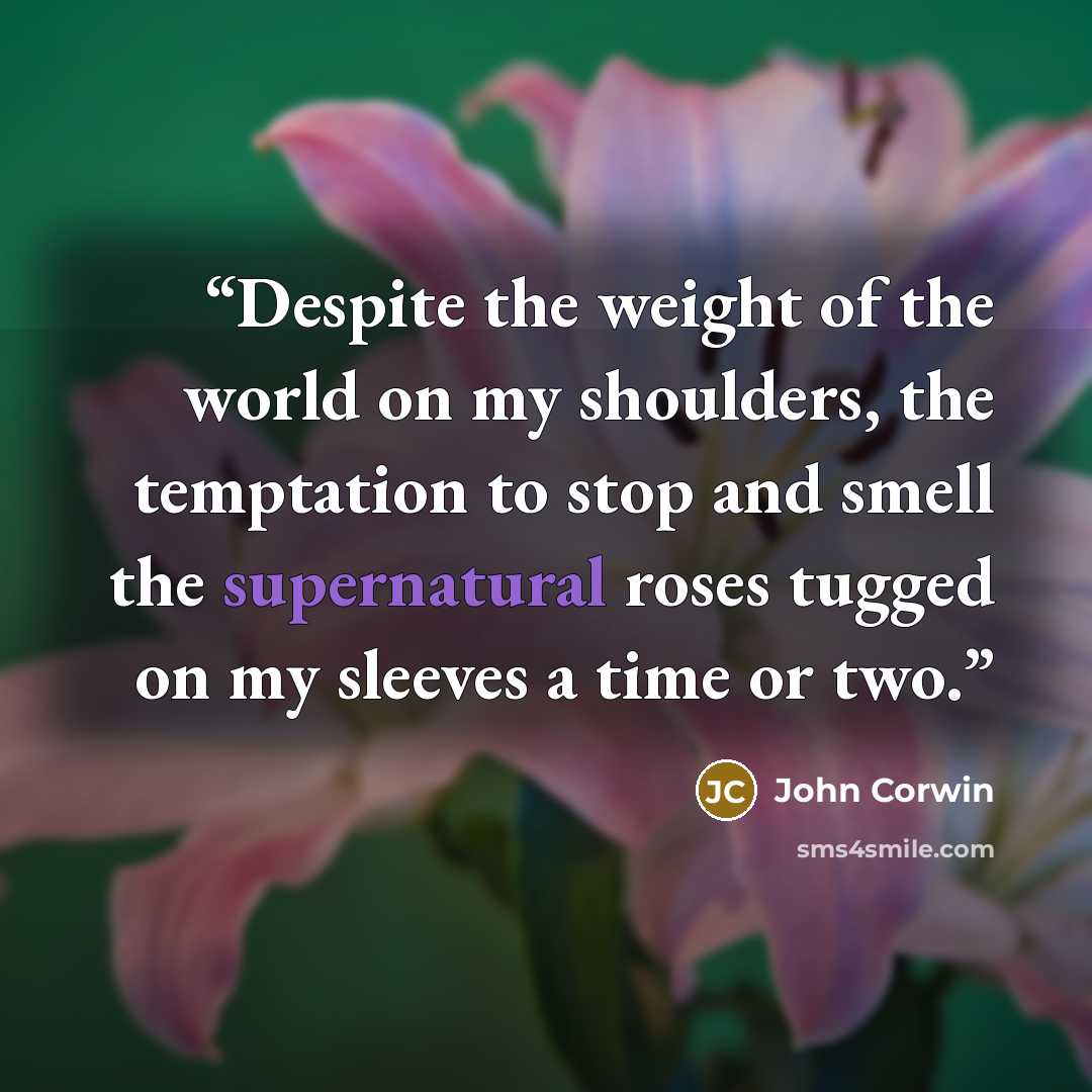 “Despite the weight of the world on my shoulders, the temptation to stop and smell the supernatural roses tugged on my sleeves a time or two.” quote by John Corwin