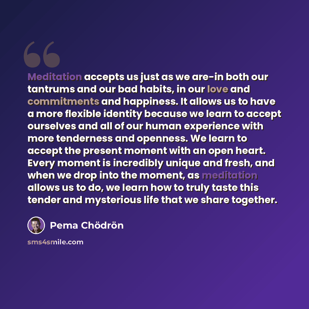 “Meditation accepts us just as we are-in both our tantrums and our bad habits, in our love and commitments and happiness. It allows us to have a more flexible identity because we learn to accept ourselves and all of our human experience with more tenderness and openness. We learn to accept the…” quote by Pema Chodron
