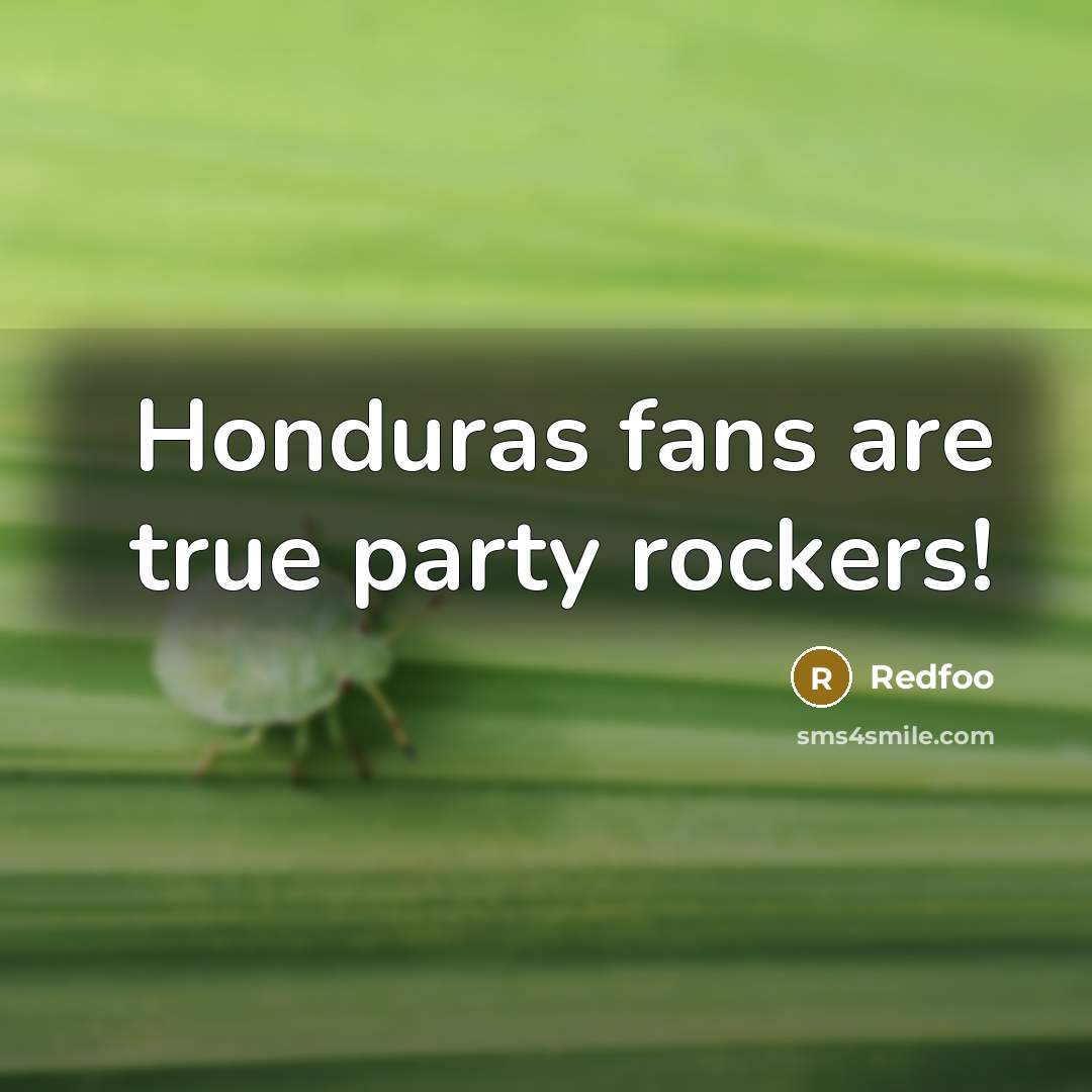 “Honduras fans are true party rockers!” quote by Redfoo